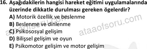 ata rekreasyon 2167 16