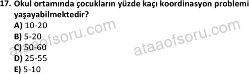ata rekreasyon 2167 17