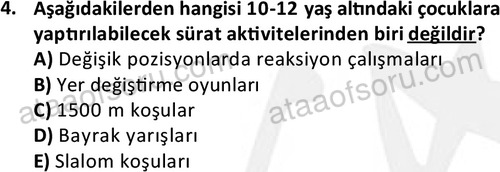 ata rekreasyon 2167 4