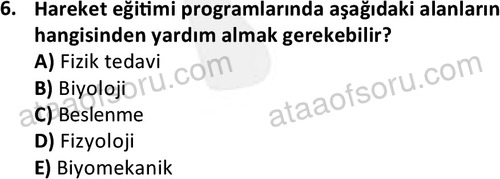 ata rekreasyon 2167 6