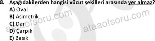 ata rekreasyon 2167 8
