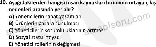 ata rekreasyon 2178 10