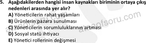 ata rekreasyon 2178 5