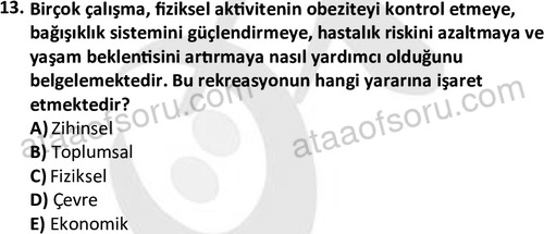 ata rekreasyon 2179 13