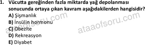 ata rekreasyon 2190 1