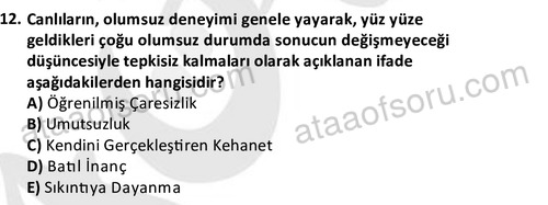 ata rekreasyon 2190 12