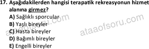 ata rekreasyon 2190 17