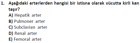 ata saglikyönetimilisans 2244 1