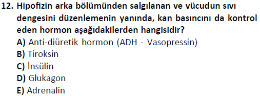 ata saglikyönetimilisans 2244 12