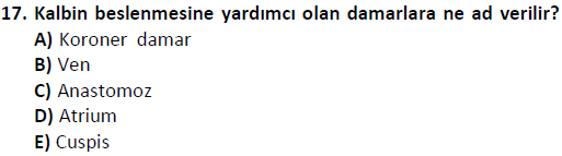ata saglikyönetimilisans 2244 17