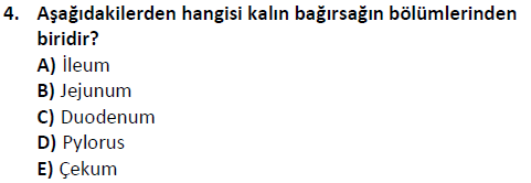ata saglikyönetimilisans 2244 4