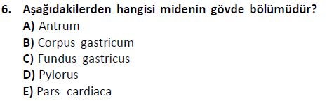 ata saglikyönetimilisans 2244 6