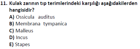 ata saglikyönetimilisans 2244 11