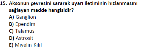 ata saglikyönetimilisans 2244 15