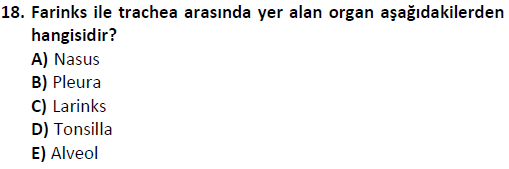 ata saglikyönetimilisans 2244 18