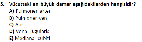 ata saglikyönetimilisans 2244 5