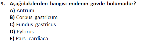 ata saglikyönetimilisans 2244 9