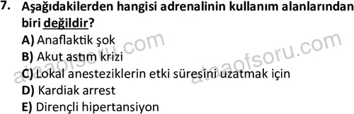 ata saglikyönetimilisans 2264 7