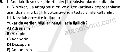 ata saglikyönetimilisans 2264 5
