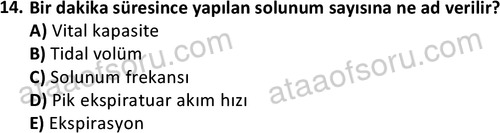 ata saglikyönetimilisans 2264 14
