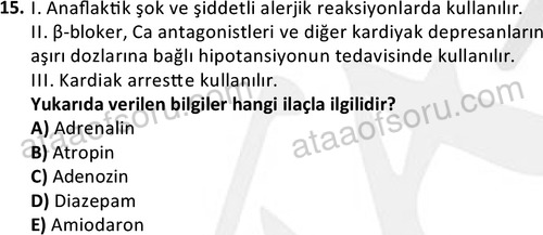 ata saglikyönetimilisans 2264 15