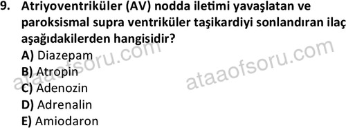 ata saglikyönetimilisans 2264 9