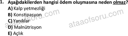 ata saglikyönetimilisans 2263 1