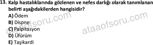 ata saglikyönetimilisans 2263 13