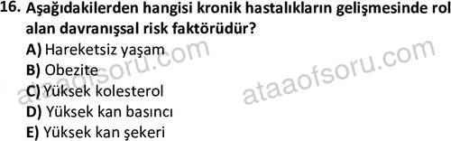 ata saglikyönetimilisans 2263 16