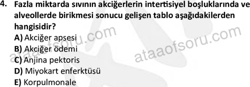 ata saglikyönetimilisans 2263 4