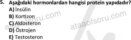 ata saglikyönetimilisans 2263 5