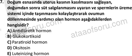 ata saglikyönetimilisans 2263 7