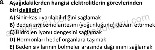 ata saglikyönetimilisans 2263 8