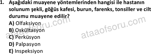 ata saglikyönetimilisans 2263 1