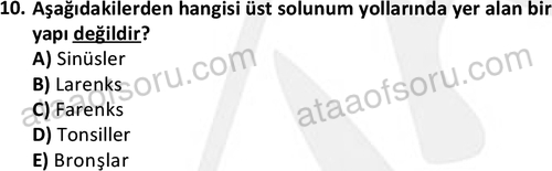 ata saglikyönetimilisans 2263 10