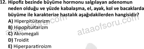 ata saglikyönetimilisans 2263 12