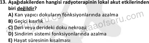 ata saglikyönetimilisans 2263 13