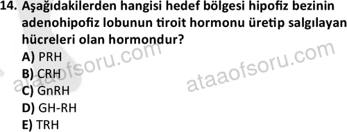 ata saglikyönetimilisans 2263 14