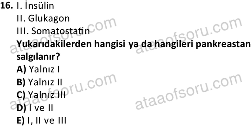 ata saglikyönetimilisans 2263 16