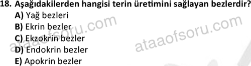 ata saglikyönetimilisans 2263 18