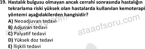 ata saglikyönetimilisans 2263 19