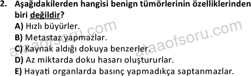 ata saglikyönetimilisans 2263 2