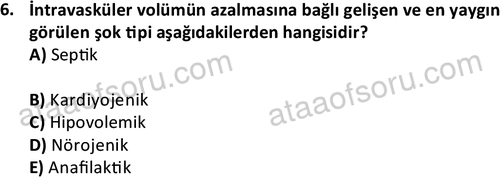 ata saglikyönetimilisans 2263 6