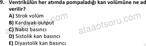 ata saglikyönetimilisans 2263 9