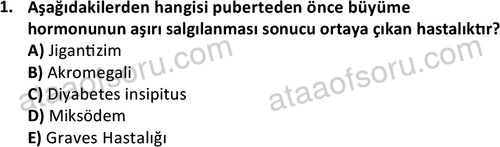 ata saglikyönetimilisans 2263 1