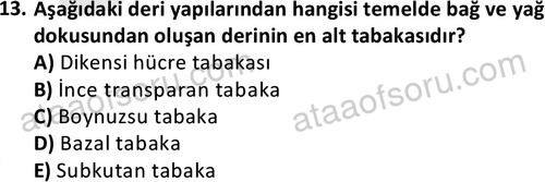 ata saglikyönetimilisans 2263 13