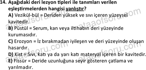 ata saglikyönetimilisans 2263 14