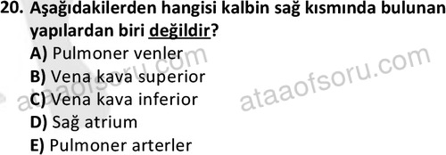 ata saglikyönetimilisans 2263 20