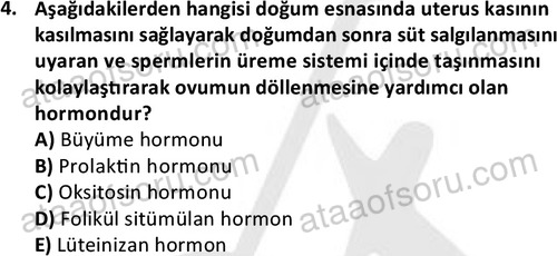 ata saglikyönetimilisans 2263 4