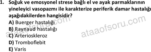 ata saglikyönetimilisans 2263 1